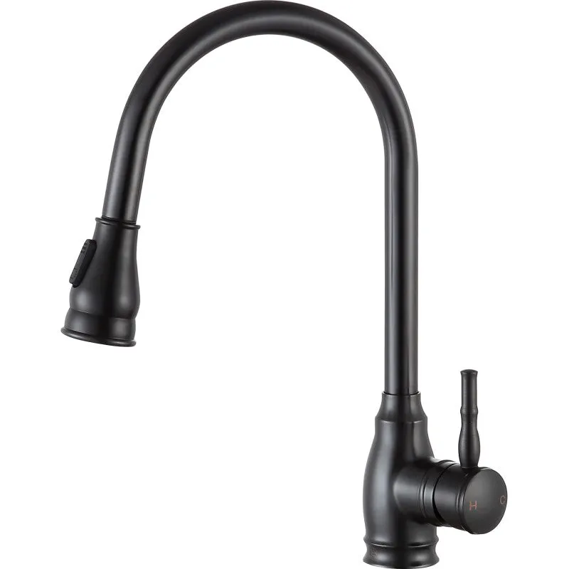 ANZZI Bell Single-Handle Pull-Out Sprayer Kitchen Faucet