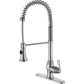 Bastion Single Handle Standard Kitchen Faucet in Brushed Nickel