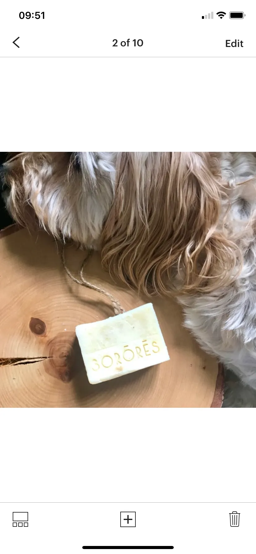 Dog shampoo bar