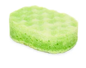 Lime Oval Soap Sponge